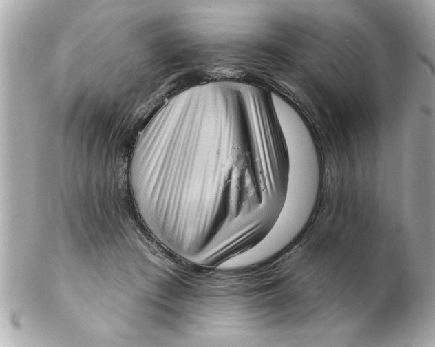 X0000102530409200808291824