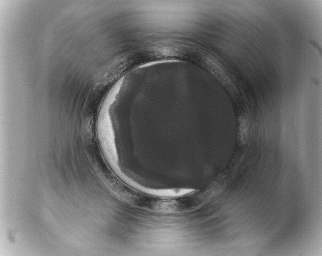 X0000102530410200808291824