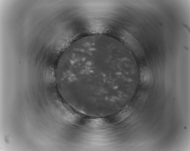 X0000102530411200808291824