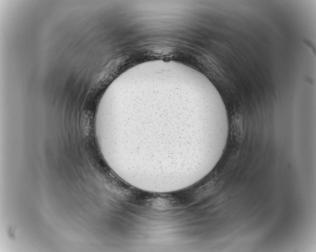 X0000102530412200808291824