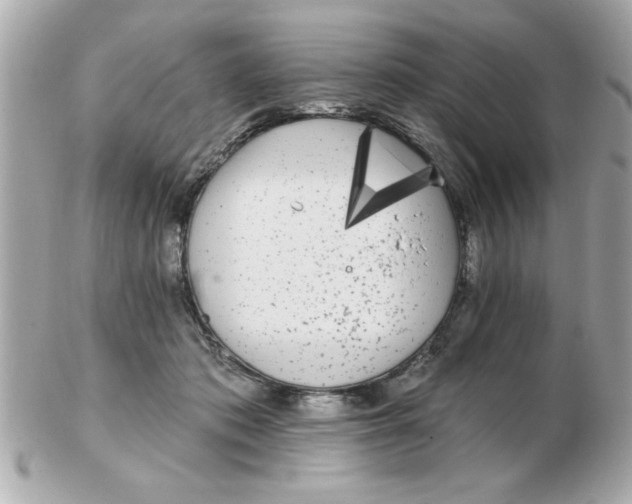X0000102530413200808291824