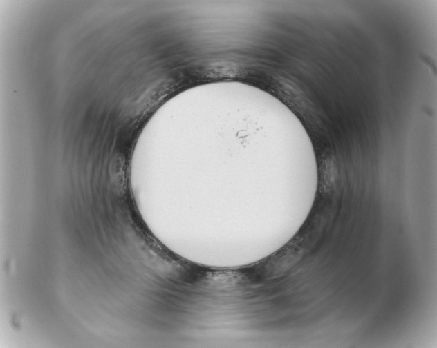 X0000102530414200808291824