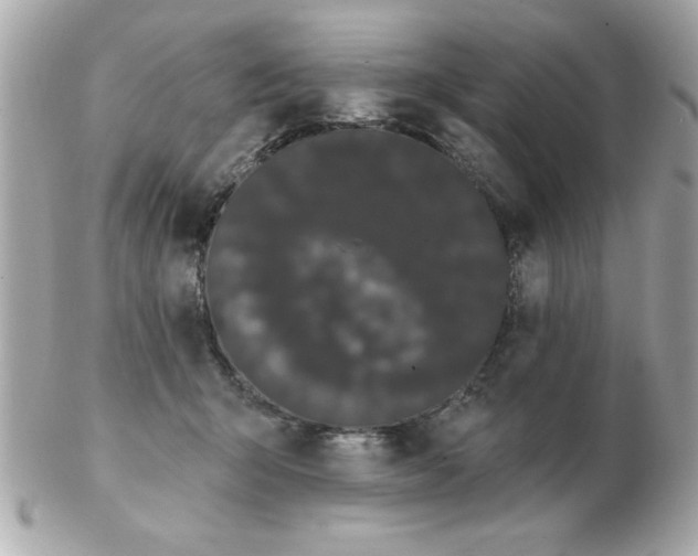 X0000102530415200808291824