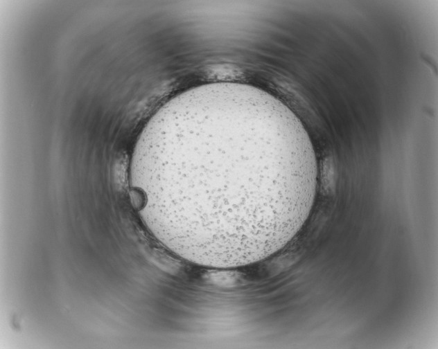 X0000102530417200808291824