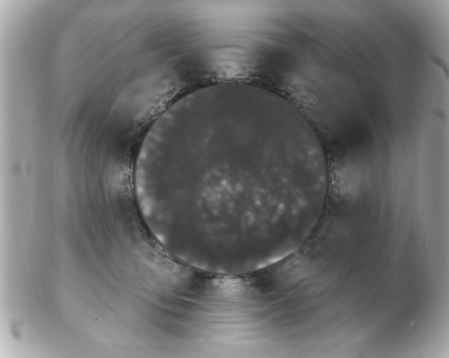X0000102530419200808291824