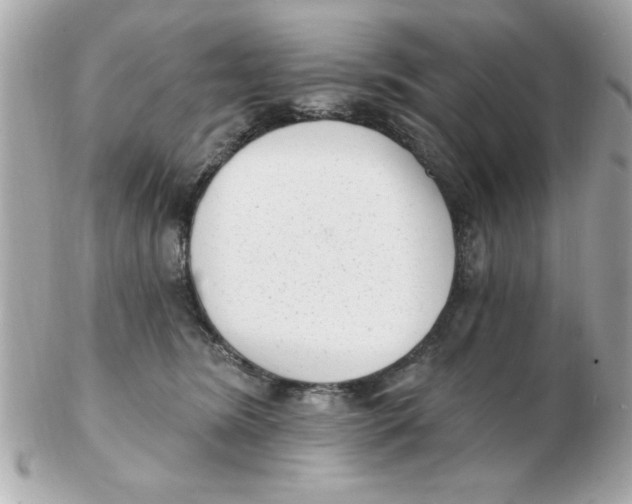 X0000102530420200808291824