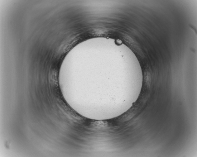 X0000102530421200808291824