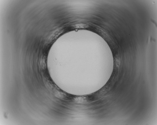 X0000102530422200808291824