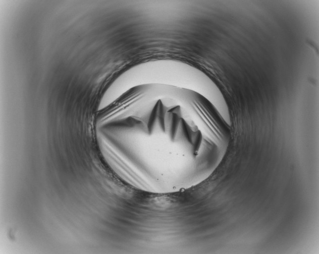 X0000102530423200808291824