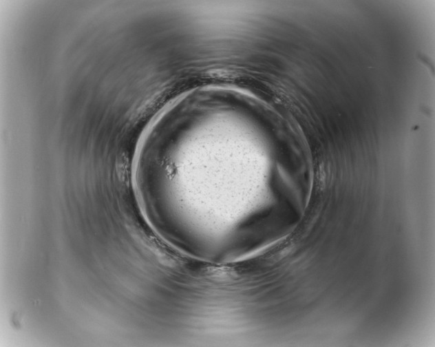X0000102530424200808291824