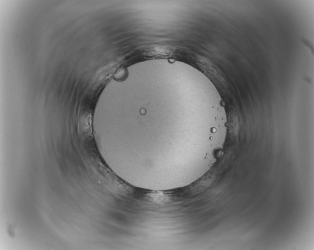 X0000102530425200808291824