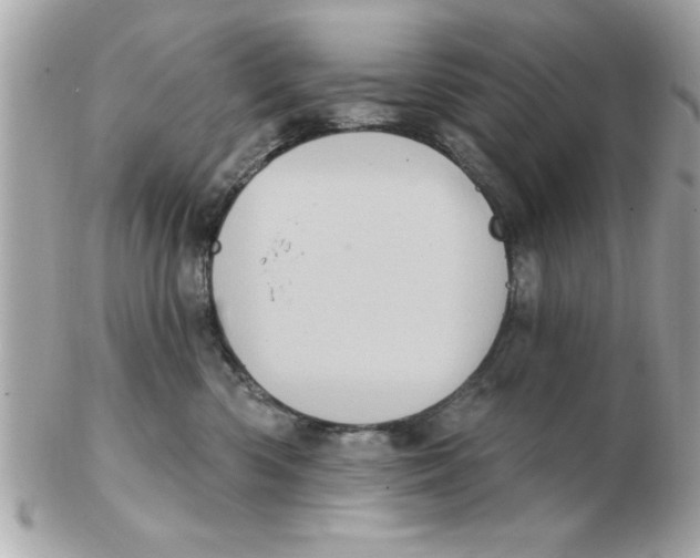 X0000102530426200808291824