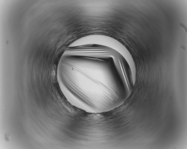 X0000102530427200808291824