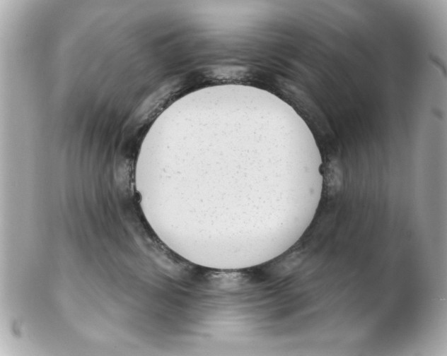 X0000102530428200808291824