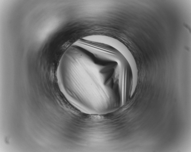X0000102530429200808291824