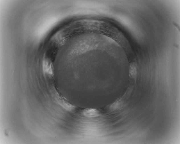 X0000102530431200808291824