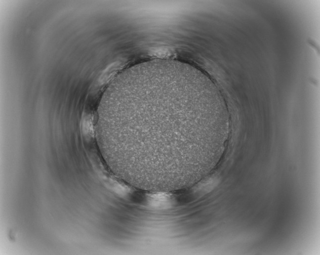 X0000102530432200808291824