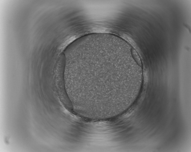 X0000102530433200808291823