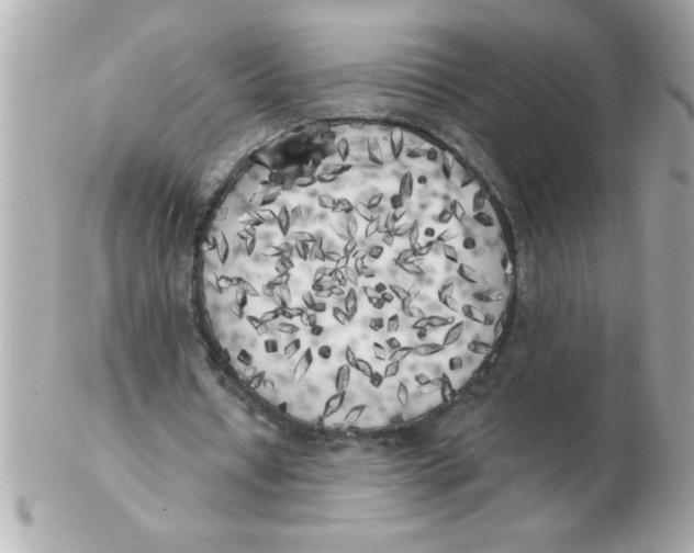X0000102530434200808291823