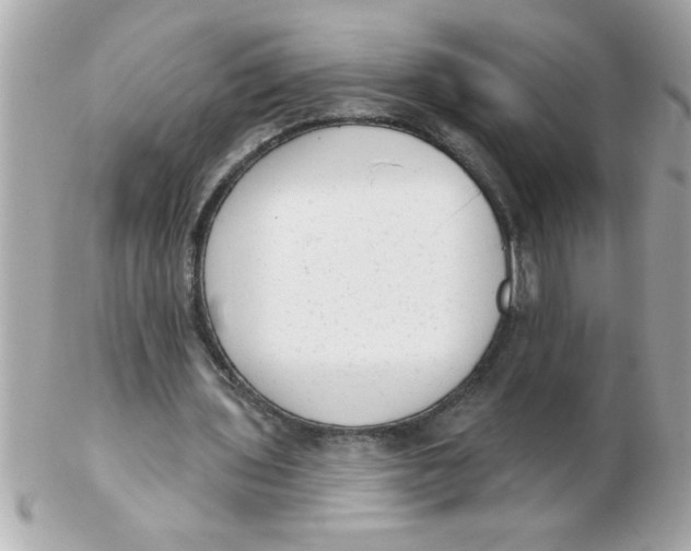 X0000102530435200808291823