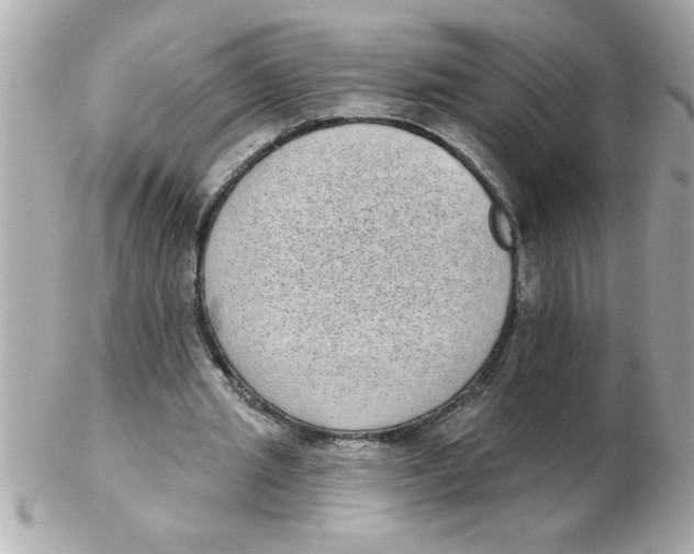 X0000102530437200808291823