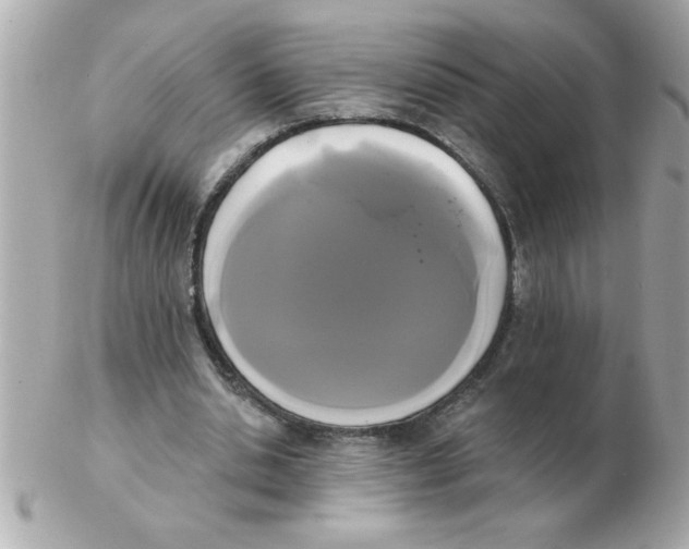 X0000102530438200808291823