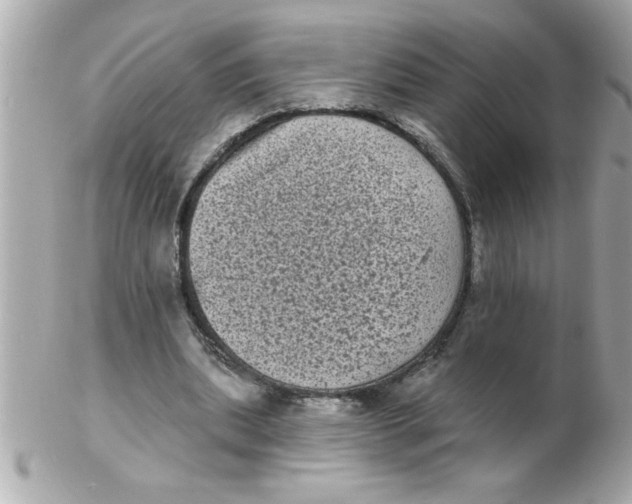 X0000102530439200808291823
