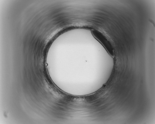 X0000102530440200808291823