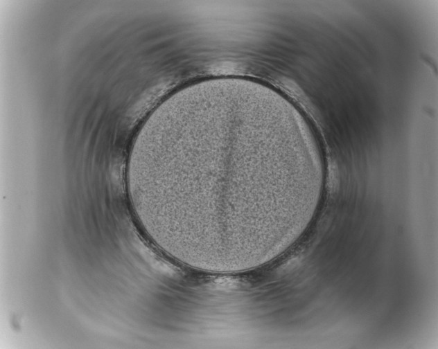 X0000102530441200808291823