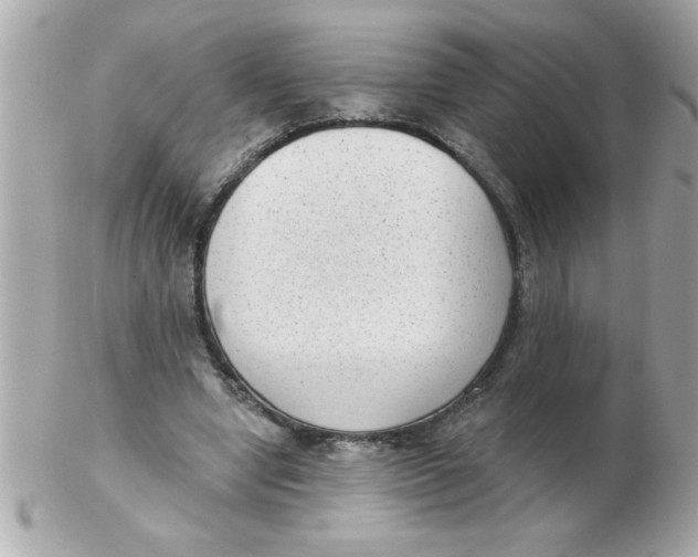 X0000102530442200808291823