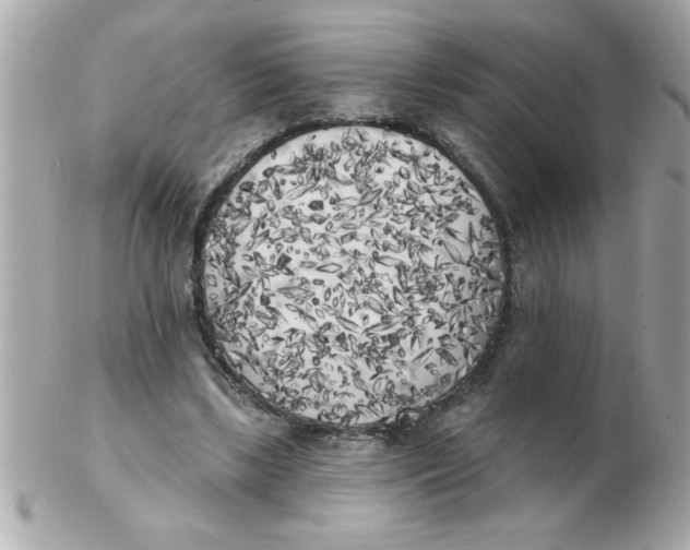 X0000102530443200808291823