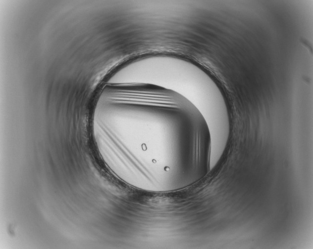X0000102530444200808291823