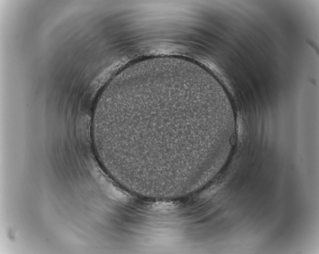 X0000102530445200808291823