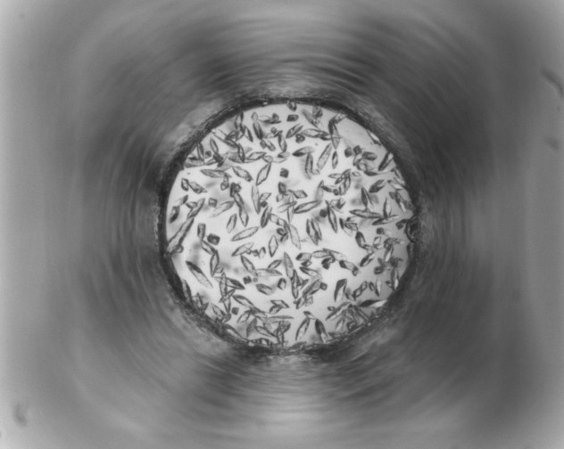 X0000102530446200808291823