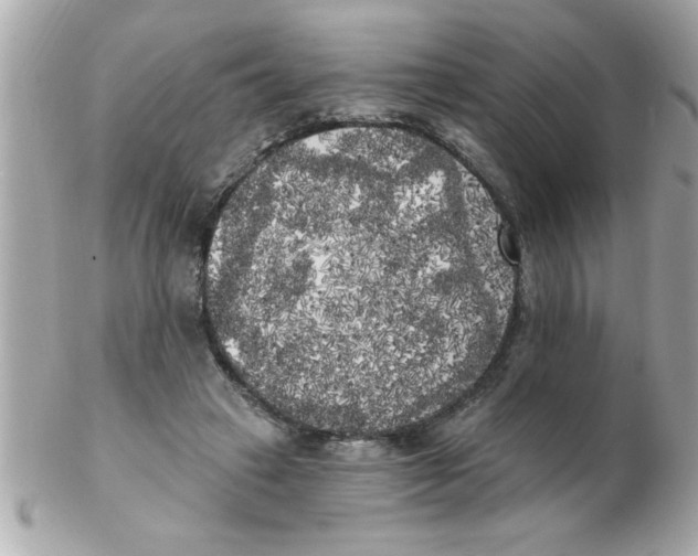 X0000102530449200808291823