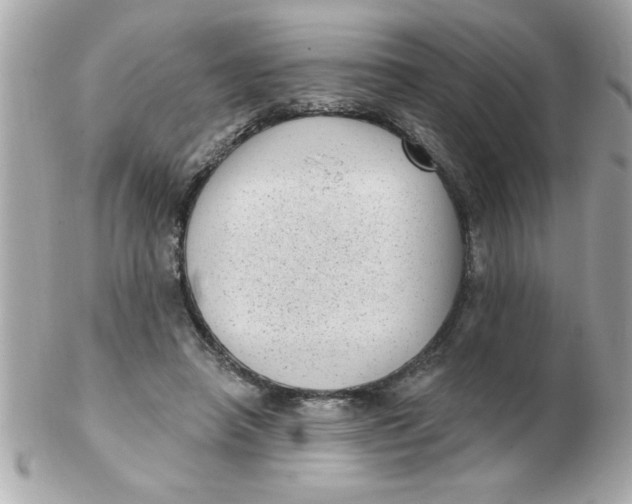 X0000102530450200808291823