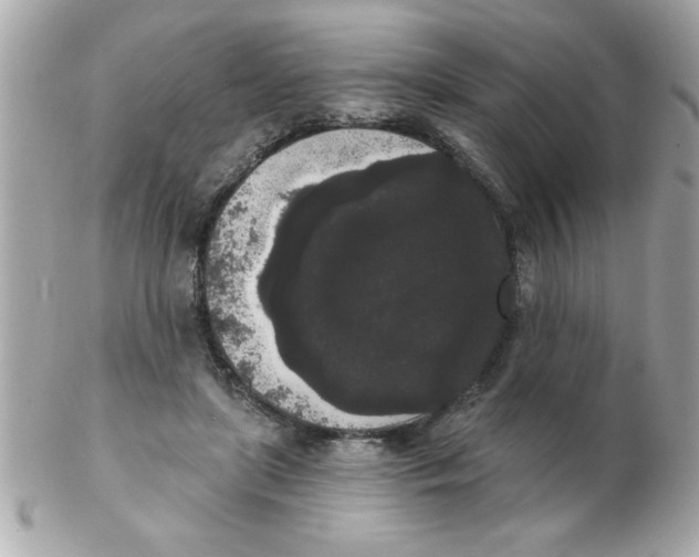 X0000102530451200808291823