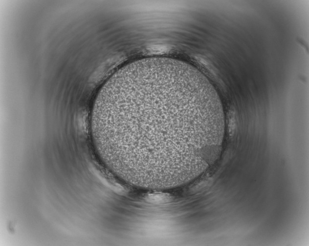 X0000102530455200808291823