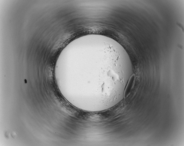 X0000102530456200808291823