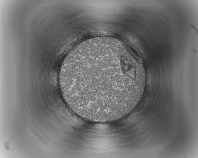 X0000102530457200808291823