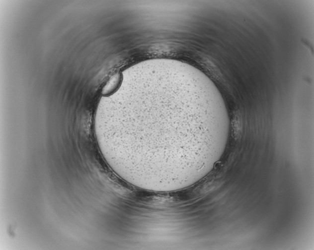 X0000102530458200808291823
