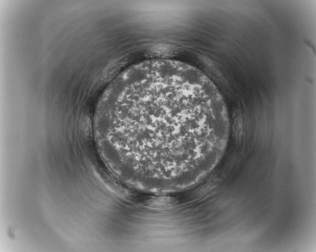 X0000102530459200808291823