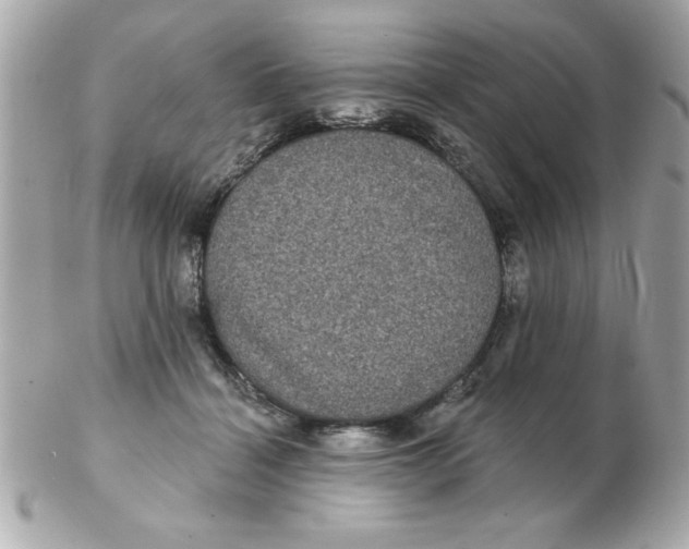 X0000102530460200808291824
