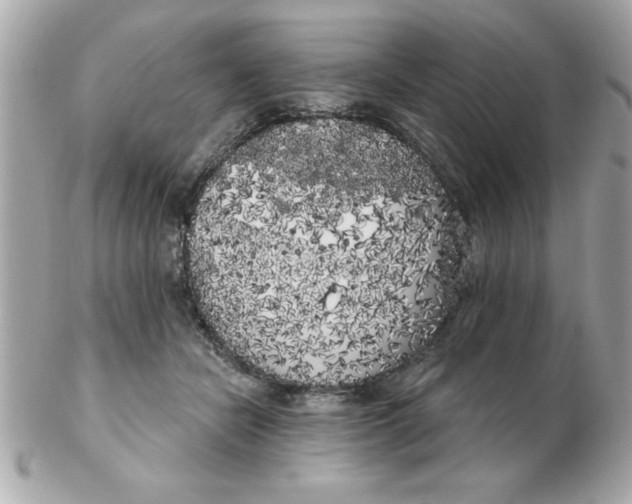 X0000102530462200808291824