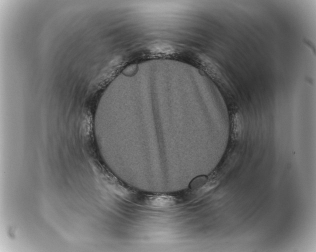 X0000102530463200808291824