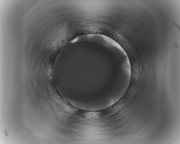 X0000102530465200808291824