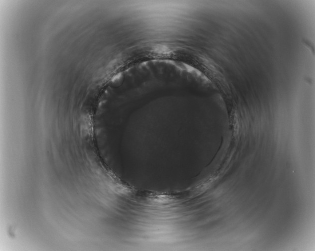 X0000102530467200808291824