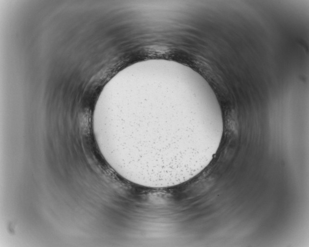 X0000102530468200808291824