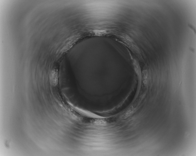 X0000102530471200808291824