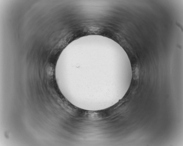 X0000102530472200808291824